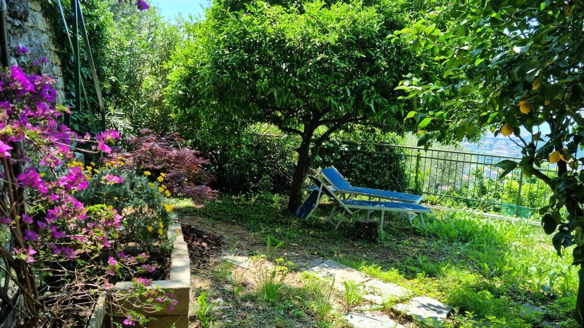 فندق مبيت وإفطار Cogorno B&B La Terrazza Sui Fieschi
