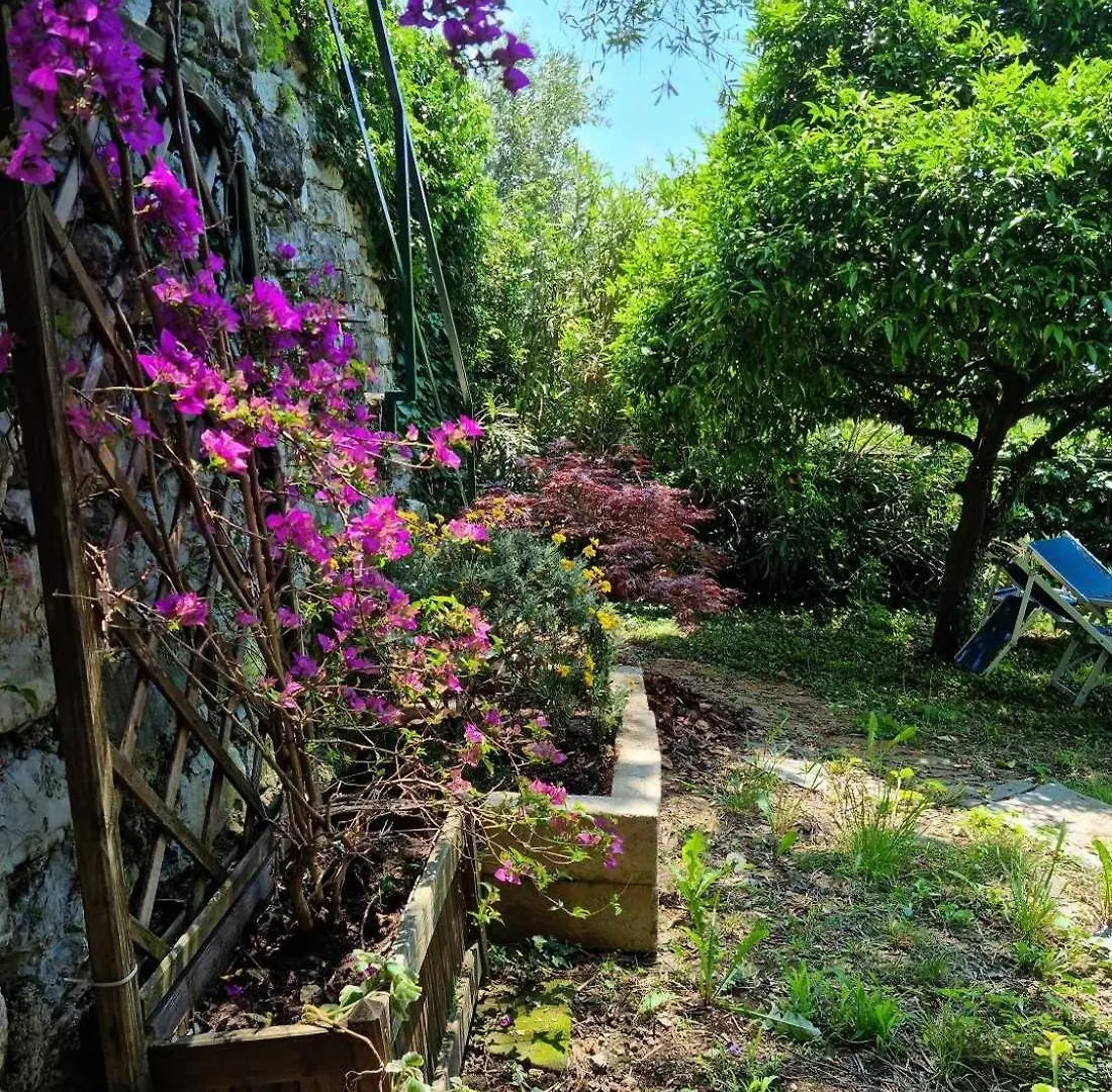 Bed and Breakfast BeB La Terrazza Sui Fieschi Cogorno Italia